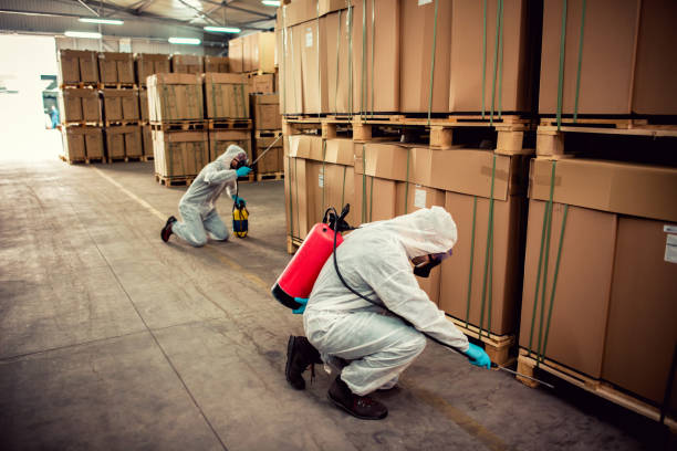 Best Best Pest Control Companies  in Oakville, MO