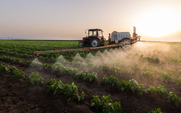 Best Mosquito Control Services  in Oakville, MO