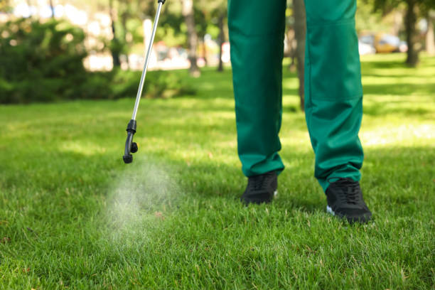 Best Emergency Pest Control  in Oakville, MO