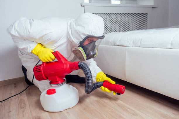 Professional Pest Control in Oakville, MO