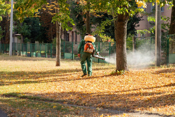 Best Local Pest Control Services  in Oakville, MO