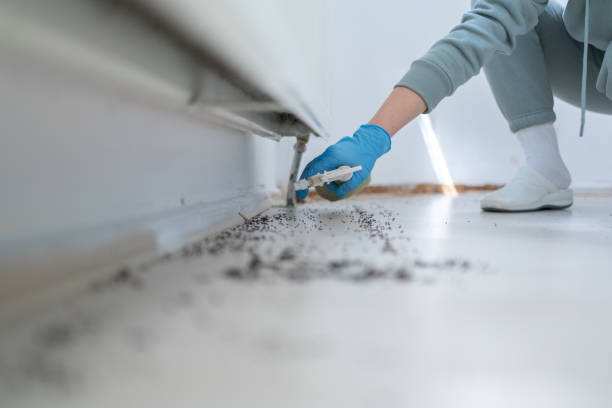 Best Best Pest Control Companies  in Oakville, MO